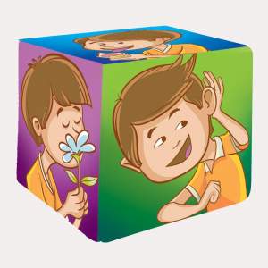 Cubo de Sentidos